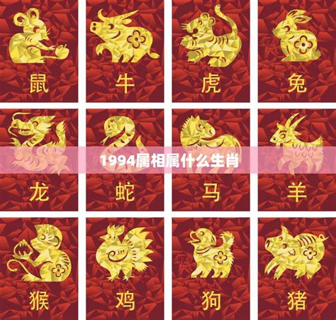 1994年屬什麼生肖|1994 年出生属什么生肖